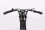 48V1000W Motor Full Suspension Shock Electric Retro Bike with Customised Beach
