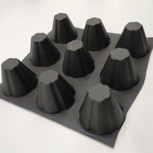 Quality Traditional Design Style Water Conservancy HDPE PVC Drainage Board for Protecting Turf wholesale