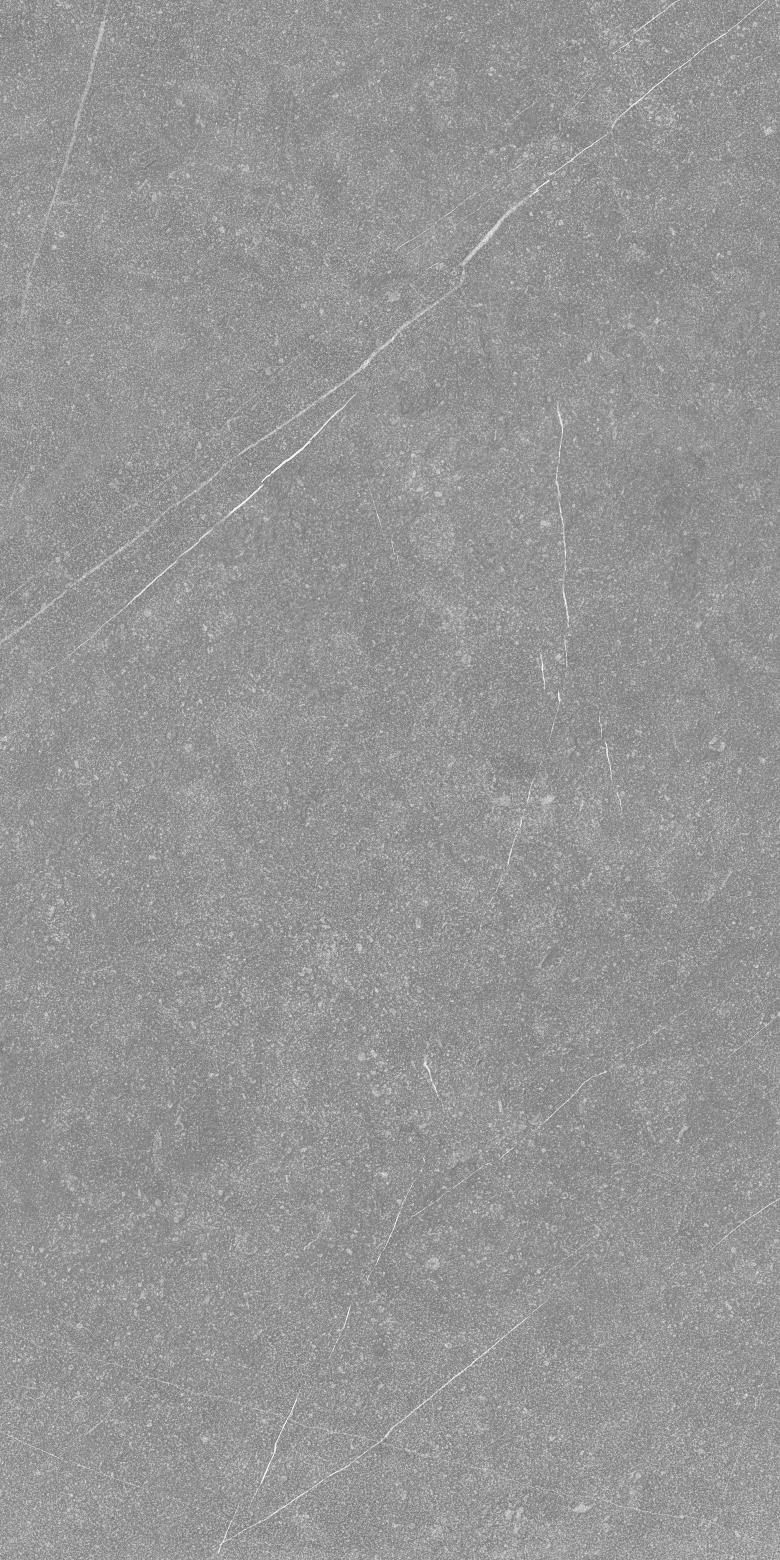 Dark Tile Floor Trending Large Format Cement Grey Concrete Look Matte Finish Porcelain Tile 60*120cm