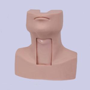 Quality Medical Emergency Training Advanced Tracheostomy Simulator On CPR Model wholesale