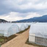 Drawing Shine Tech Single Span Tunnel Agricultural Greenhouses