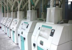 Quality 200tpd Wheat Flour Milling Plant Turnkey Project Customization wholesale