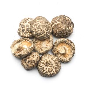 Quality Versatile Dried Flat Shiitake Mushrooms For Culinary wholesale