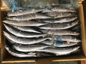 Quality BRC High Protein BQF Frozen #3 Pacific Saury Fish wholesale