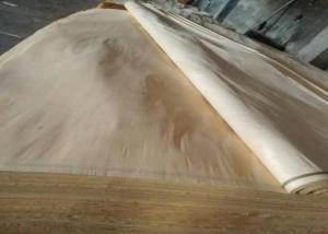 Quality A Grade Rotary Cut White Birch Wood Veneer Sheets 0.18mm 0.22mm wholesale