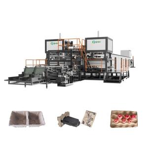Quality Fully Automatic Apple Egg Tray Paper Pulp Making Machine With Metal Drying Line wholesale