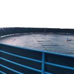 Tenglu Provides HDPE Geomembrane for Waterproof Fish Shrimp Pond and Swimming