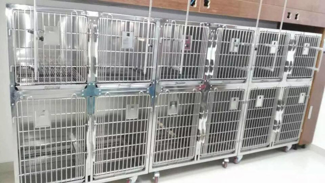Combination Stainless Steel Animal Cages 2400 * 700 * 2140mm for Veterinary Clinic