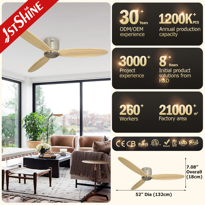 ceiling fan