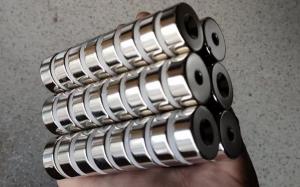 N52 Neodymium Magnet Circular Tube Radial Oriented Sintered