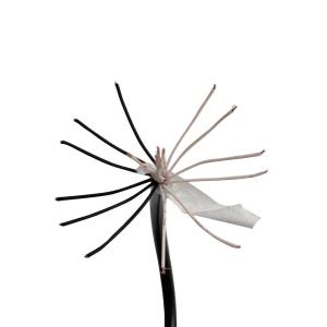 Quality 6 Core PVC Sheathed Cables high temperature Insulated Tinned Multicore wholesale