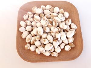 Quality Coated Yellow Soya Bean Snacks Good Taste Full Nutritions Pet Jar Packed wholesale