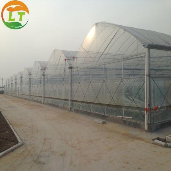 Multi-Span Agricultural Greenhouses Durable and Snow Resistant for LiTai