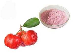 Quality Vitamin C 17% 25% Acerola Cherry Natural Fruit Extract Powder wholesale