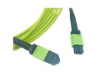 OM5 12F MPO Fiber Optic Patch Cord MTP Female MPO Trunk Cable
