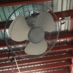 Household Solar AC / DC Powered 16 Inch Orbit Ceiling Fan