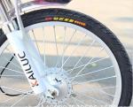 48V 250w Electric Beach Cruiser Bicycle