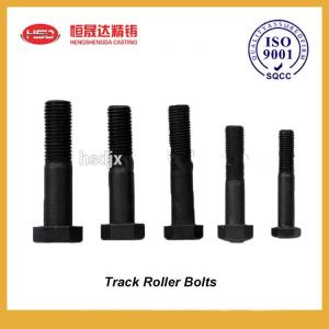 Quality Forged Material Elevator Bucket Bolts For Track Roller wholesale
