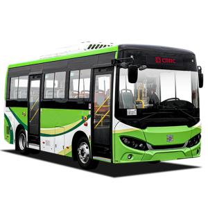 Quality Energy Saving Pure Electric Bus TEG6661BEV01 Intelligent Management Bus wholesale