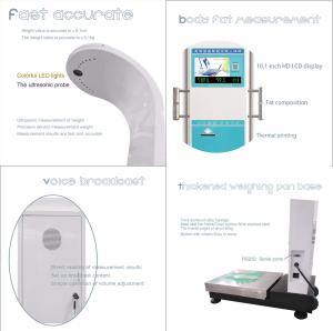 Quality Height And Weight Body Fat Analyzer Scale Coin Operated Digital wholesale