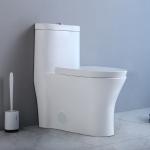 Commercial Ada Bathrooms Toilets For Physically Handicapped Challenged Person