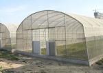 Single Layer Polyethylene Film Greenhouse Steel Structure Anti Rust