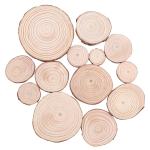 16CM Unfinished Natural Wood Slices Wooden Discs Crafts