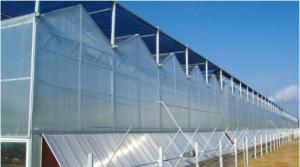 Quality PC Greenhouse wholesale