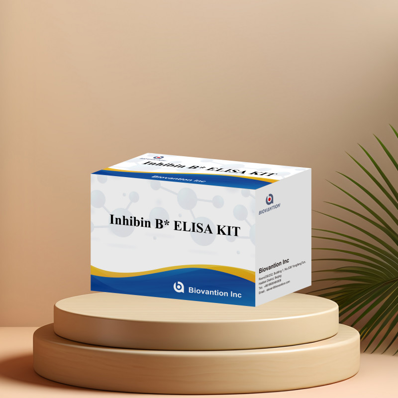 Biovantion Inhibin B Elisa Test Kit for human diagnosis with 96T