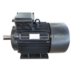 Quality Maintenance Free Rare Earth Magnet Alternator , PMAC Generator wholesale