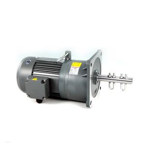 Quality Singe Phase 0.1kW Speed Reducer Motor For Poultry Industry wholesale