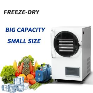 Quality Freezed Dryer Vacuum Machines Industrial Coffee Mushroom Food Lyofilizing wholesale