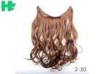 Fashionable Colorful Synthetic Clip In Hair Extensions High Temperament Hair For