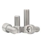 Stainless Steel Allen Key Type Bolt Ss304 Din 912 M12 M16 Fillister Bolt 304 100