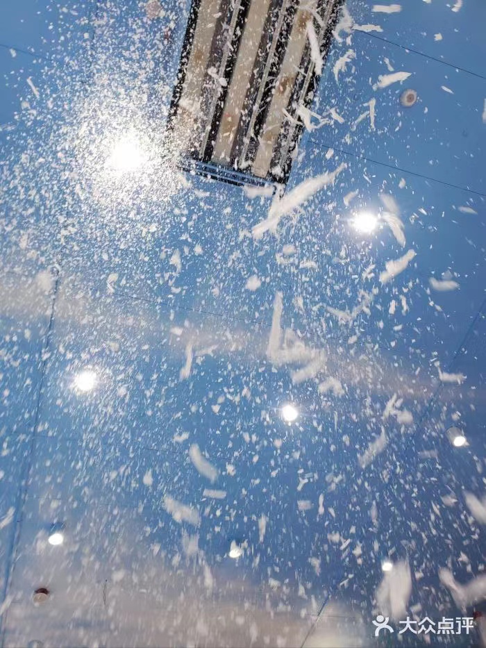 270 KG Snow Falling Machine for Spa Party Year Christmas Affordable and Versatile