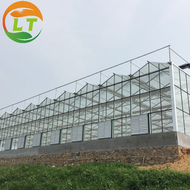 Glass Covered Multi-Span Agricultural Greenhouse for Intelligent Crop Cultivation