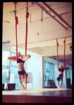 Virson- High quality yoga swing Great Tool for Stretching! Antigravity for