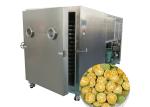 Vacuum Lyophilizer Industrial Freeze Dryer Machine