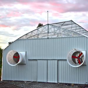 Quality Hydroponic Poly Tunnel Blackout Auto Light Deprivation Greenhouse Medical Herbs Growing wholesale