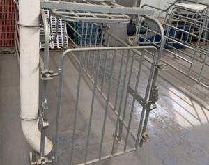 Quality 0.65m/0.60m Width Pig Raising Equipment Farrowing House For Pigs Acid Resistance wholesale