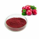 Food Ingredients Fruit Extract 100% Natural Bilberry Extract Powder