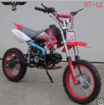 D7-12 Adult Dirt Bike ATV Quad Scooter with Ce