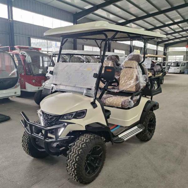 2+2 Seats Electric Golf Cart 4 Seater Home Luxury McPherson Suspension Factory