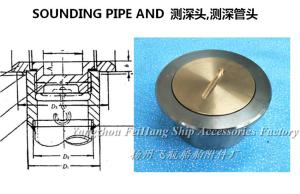 Quality Stainless steel sounding head A100 CB/T3778-99 wholesale