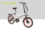 Adult Electric Folding Bike 250W 36V , 20 Inch Collapsible Electric Bike