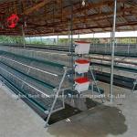 Premium H type Layer Battery Cage Price In Nigeria stable Iris