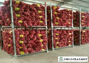 Quality Round Shape Sweet Yellow Onion No Pesticide Residues Without Pollution wholesale