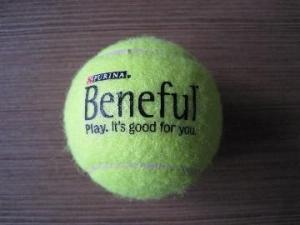 Quality nassau tennis balls wholesale