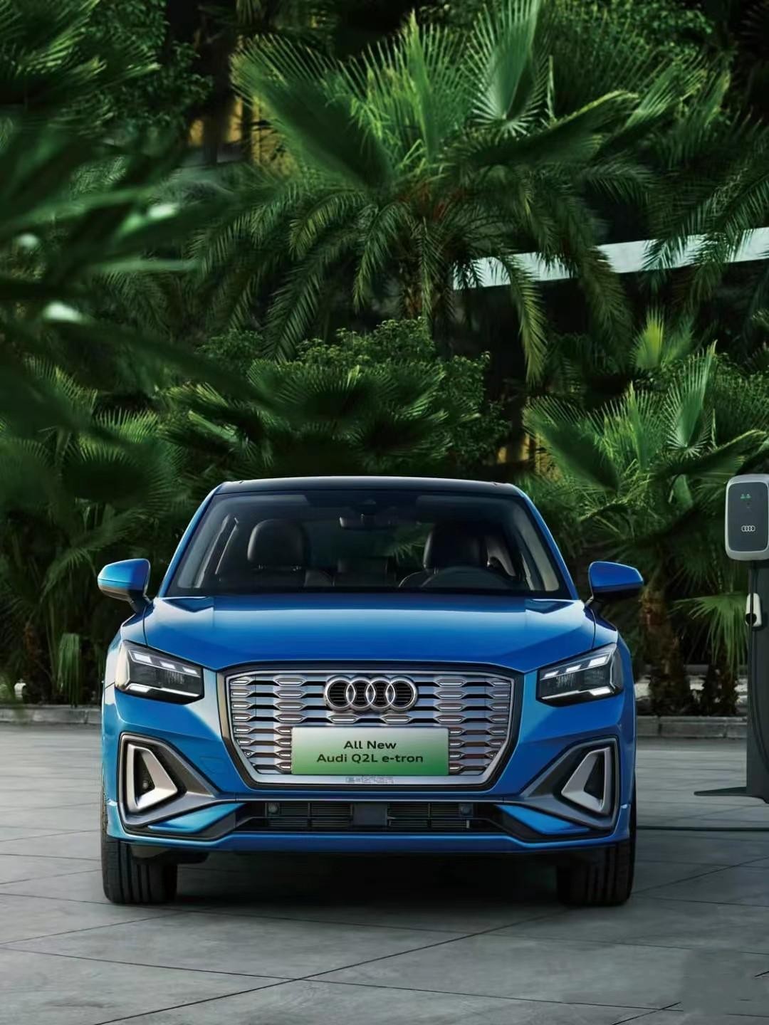 Maximum speed 150Km/h 2023 5 Seats Electric SUV Au-di Q2Ll e-tron with 12.3 Inches LCD Meter and 325km Pure Electric Range