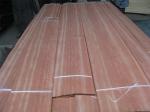 Sliced Natural Bintangor Wood Veneer Sheet